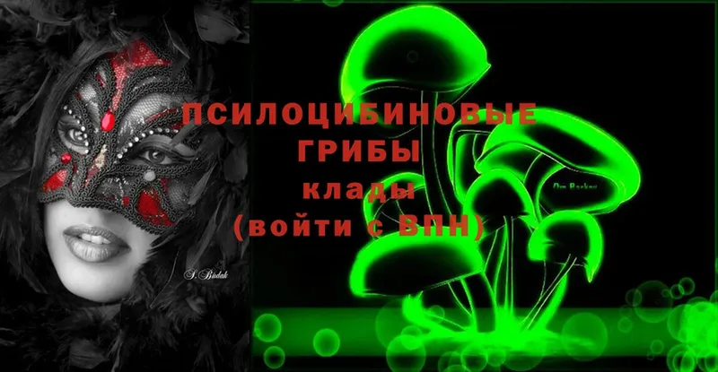 darknet клад  Щёкино  Галлюциногенные грибы Psilocybine cubensis  hydra ONION 