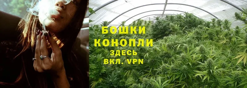 купить  цена  Щёкино  Бошки Шишки Amnesia 